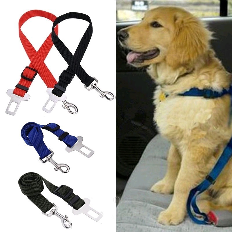 Travel Accessories Dropshipping - مقعد السيارة حزام كلب المقود قابل